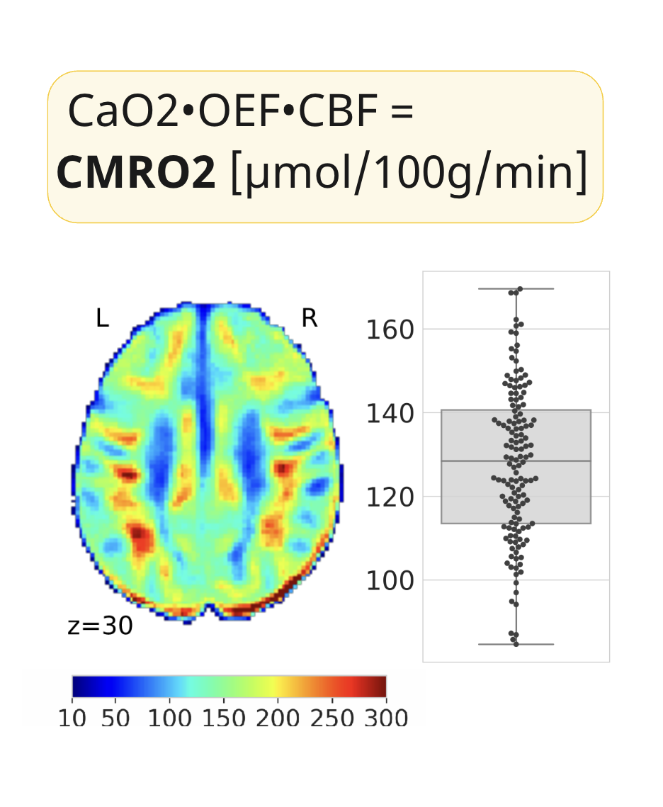 QUANTITATIVE NEUROENERGETICS 