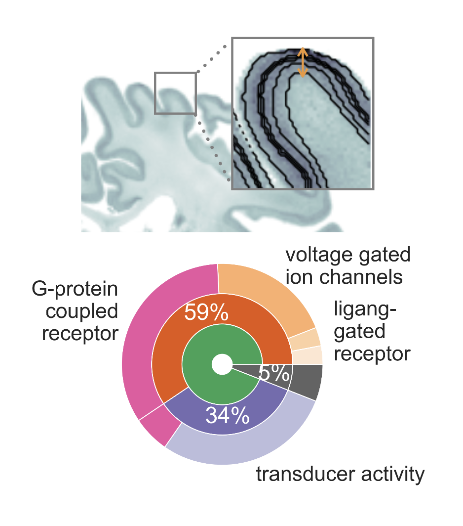 MULTISCALE INTEGRATION